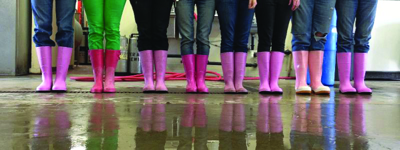 pink-boots-society_IMAGE.jpg